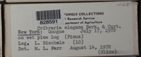 Image Associated With the Occurence